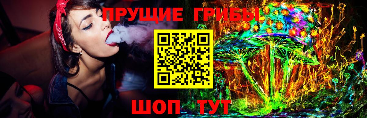 Псилоцибиновые грибы прущие грибы Тимашёвск