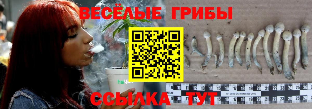 Галлюциногенные грибы Cubensis  Галлюциногенные грибы мухоморы  Тимашёвск  Вход с VPN 